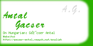 antal gacser business card